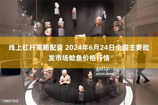 线上杠杆策略配资 2024年6月24日全国主要批发市场鲶鱼价格行情