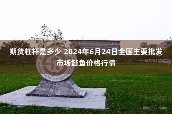 期货杠杆是多少 2024年6月24日全国主要批发市场鲢鱼价格行情