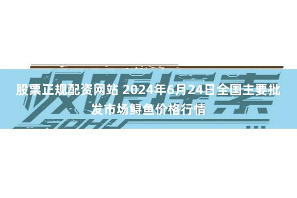 股票正规配资网站 2024年6月24日全国主要批发市场鲟鱼价格行情