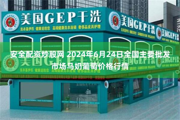 安全配资炒股网 2024年6月24日全国主要批发市场马奶葡萄价格行情