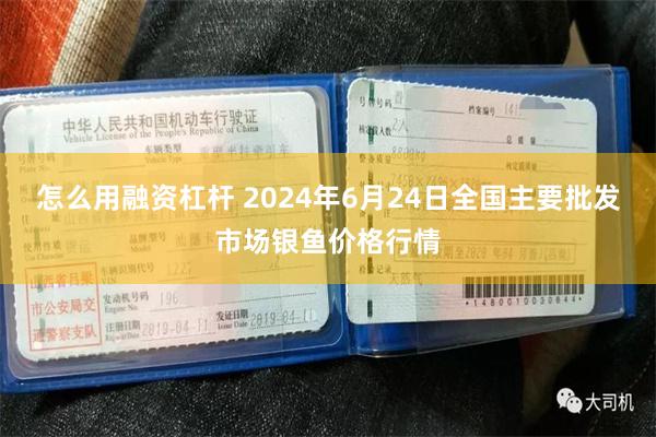 怎么用融资杠杆 2024年6月24日全国主要批发市场银鱼价格行情