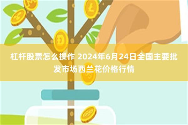 杠杆股票怎么操作 2024年6月24日全国主要批发市场西兰花价格行情