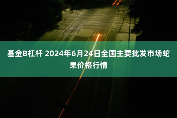 基金B杠杆 2024年6月24日全国主要批发市场蛇果价格行情