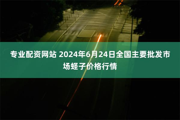 专业配资网站 2024年6月24日全国主要批发市场蛏子价格行情