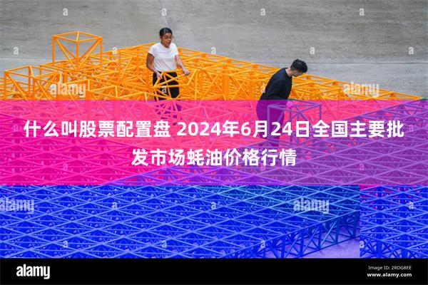 什么叫股票配置盘 2024年6月24日全国主要批发市场蚝油价格行情