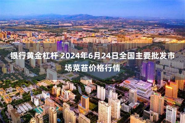 银行黄金杠杆 2024年6月24日全国主要批发市场菜苔价格行情