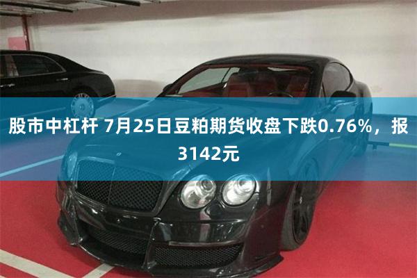 股市中杠杆 7月25日豆粕期货收盘下跌0.76%，报3142元