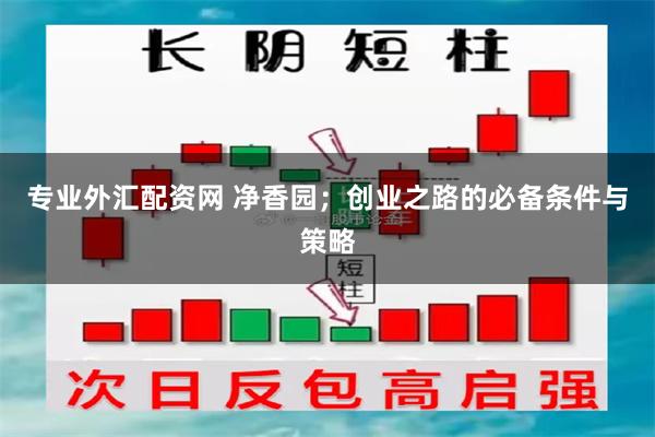 专业外汇配资网 净香园；创业之路的必备条件与策略