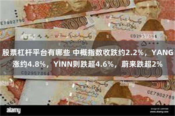 股票杠杆平台有哪些 中概指数收跌约2.2%，YANG涨约4.8%，YINN则跌超4.6%，蔚来跌超2%