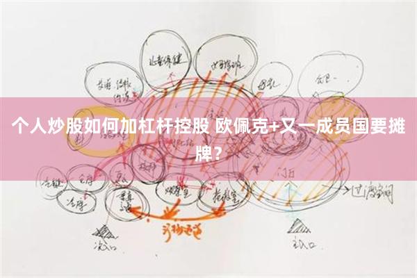 个人炒股如何加杠杆控股 欧佩克+又一成员国要摊牌？