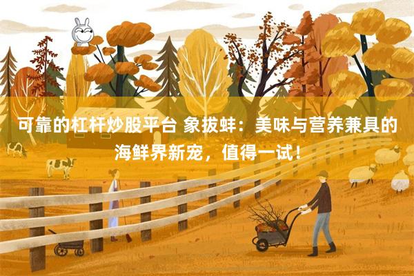 可靠的杠杆炒股平台 象拔蚌：美味与营养兼具的海鲜界新宠，值得一试！