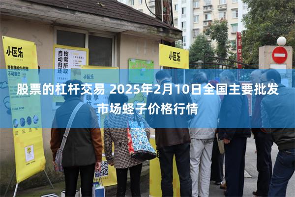 股票的杠杆交易 2025年2月10日全国主要批发市场蛏子价格行情