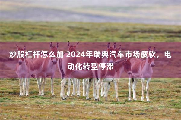 炒股杠杆怎么加 2024年瑞典汽车市场疲软，电动化转型停滞